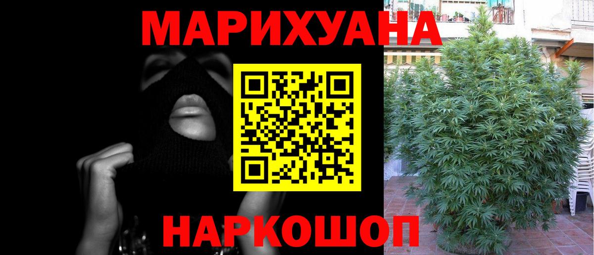 Канабис сатива  Бошки марихуана Ganja  Конопля AK-47  Вход с VPN  Бийск 